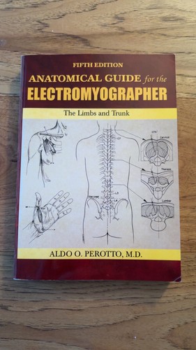 Anatomical guide for the - anatomical,